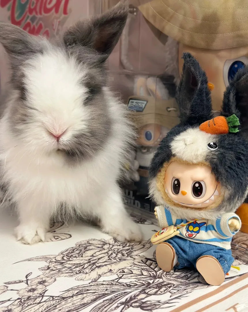 Labubu Pet Hats Custom Customization
