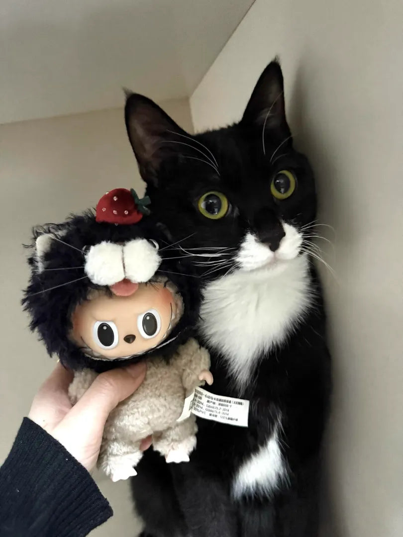 Labubu Pet Hats Custom Customization