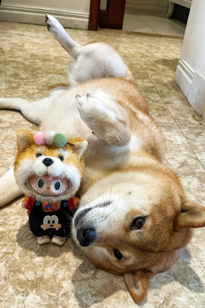 Labubu Pet Hats Custom Customization
