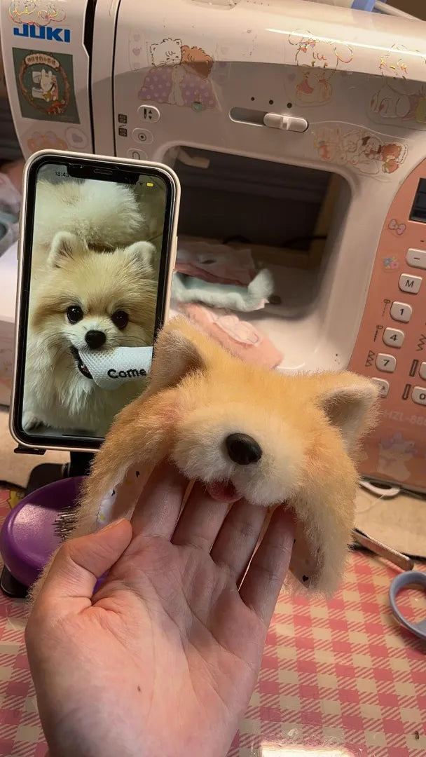 Labubu Pet Hats Custom Customization
